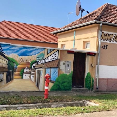 Aparthotel Arany Apartman Cegléd Zewnętrze zdjęcie